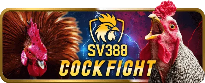 Hoàn trả cược thua thể thao win69